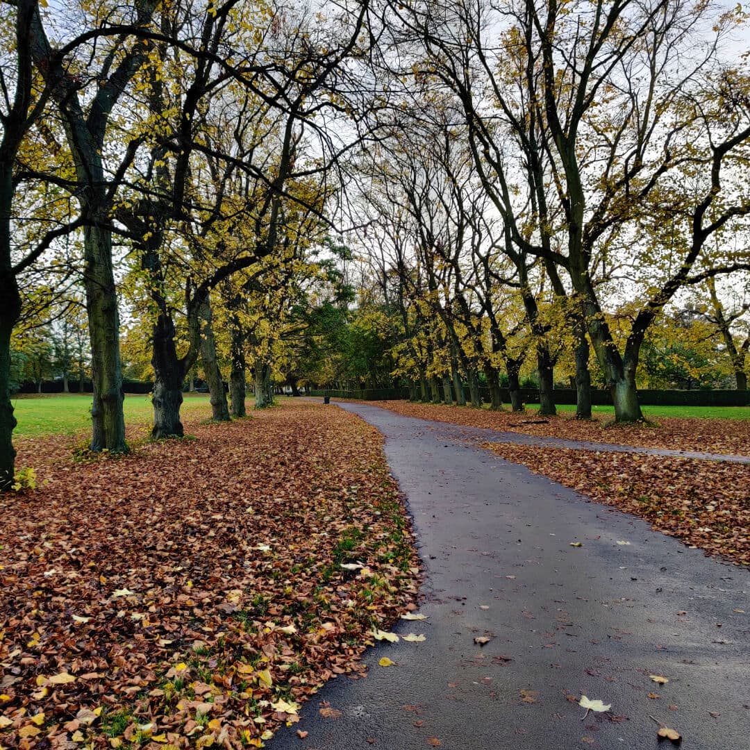 Woodhouse Moor/Hype leafy path