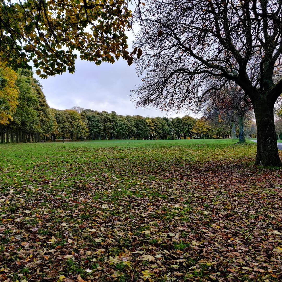 Woodhouse Moor/Hype top field
