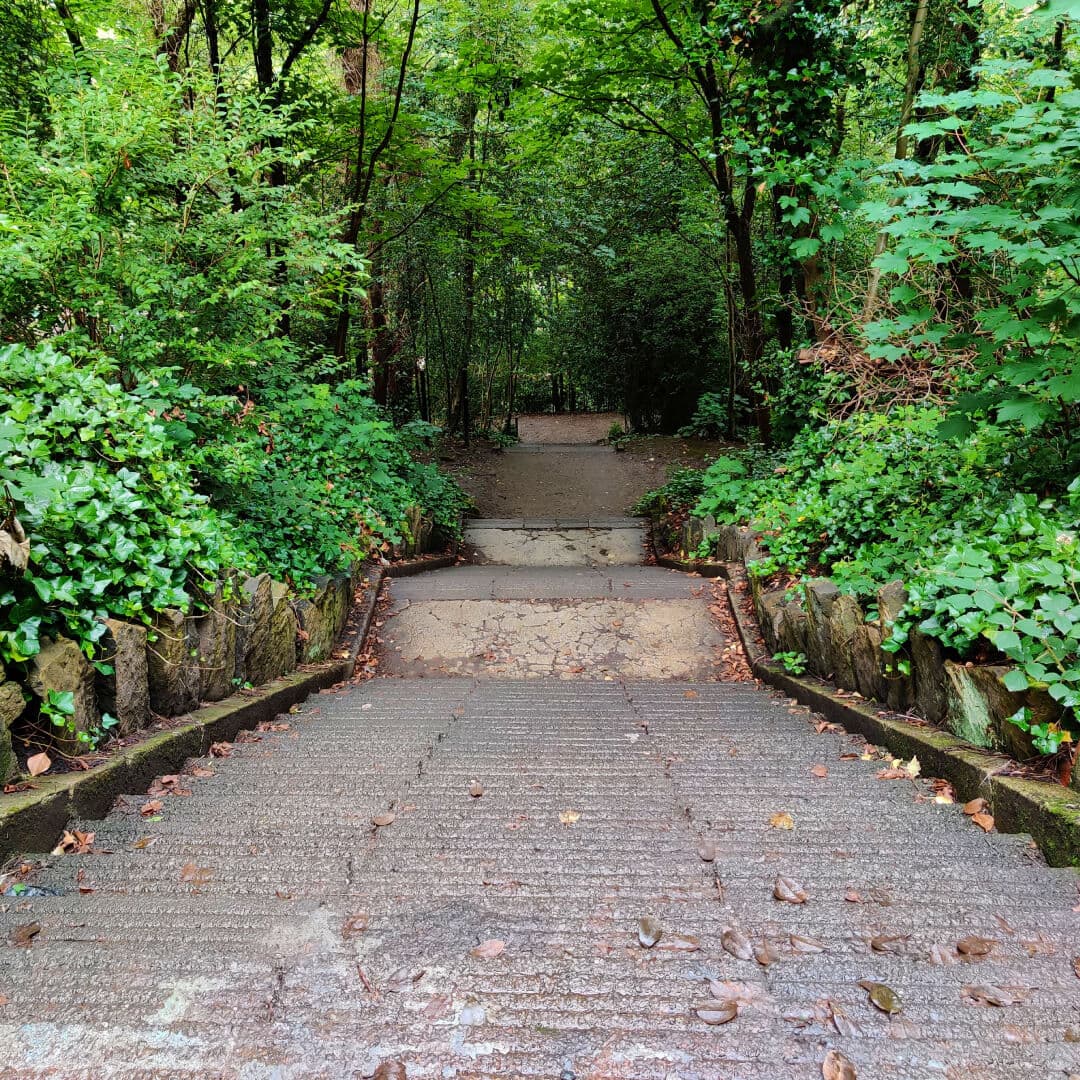 Armley Park Killer Steps from the top