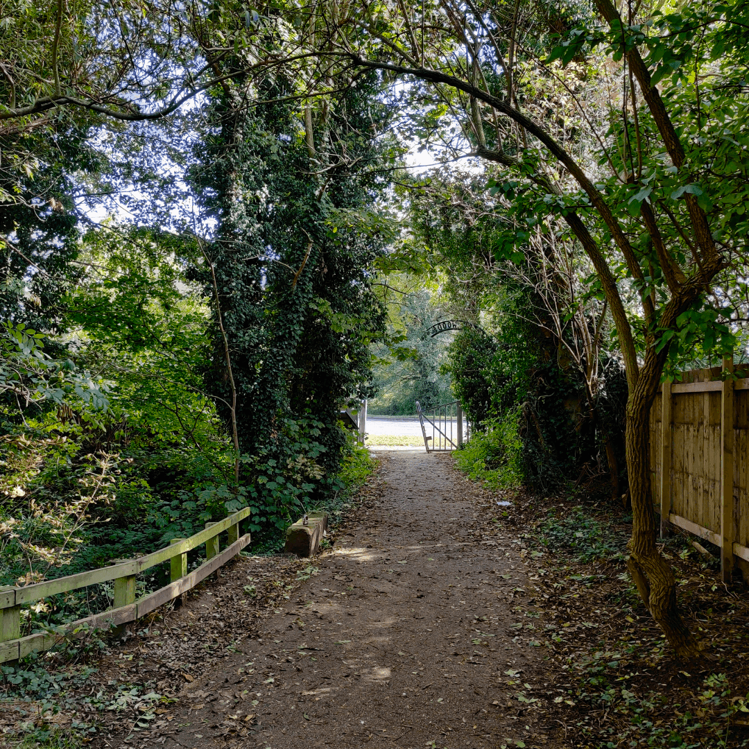 Wykebeck Woods