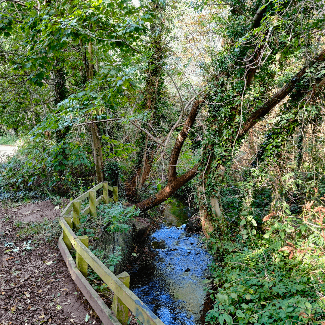 Wykebeck Woods