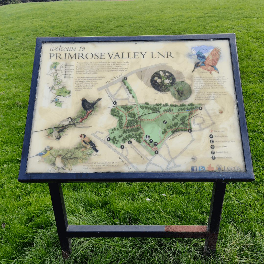 Primrose Valley Park