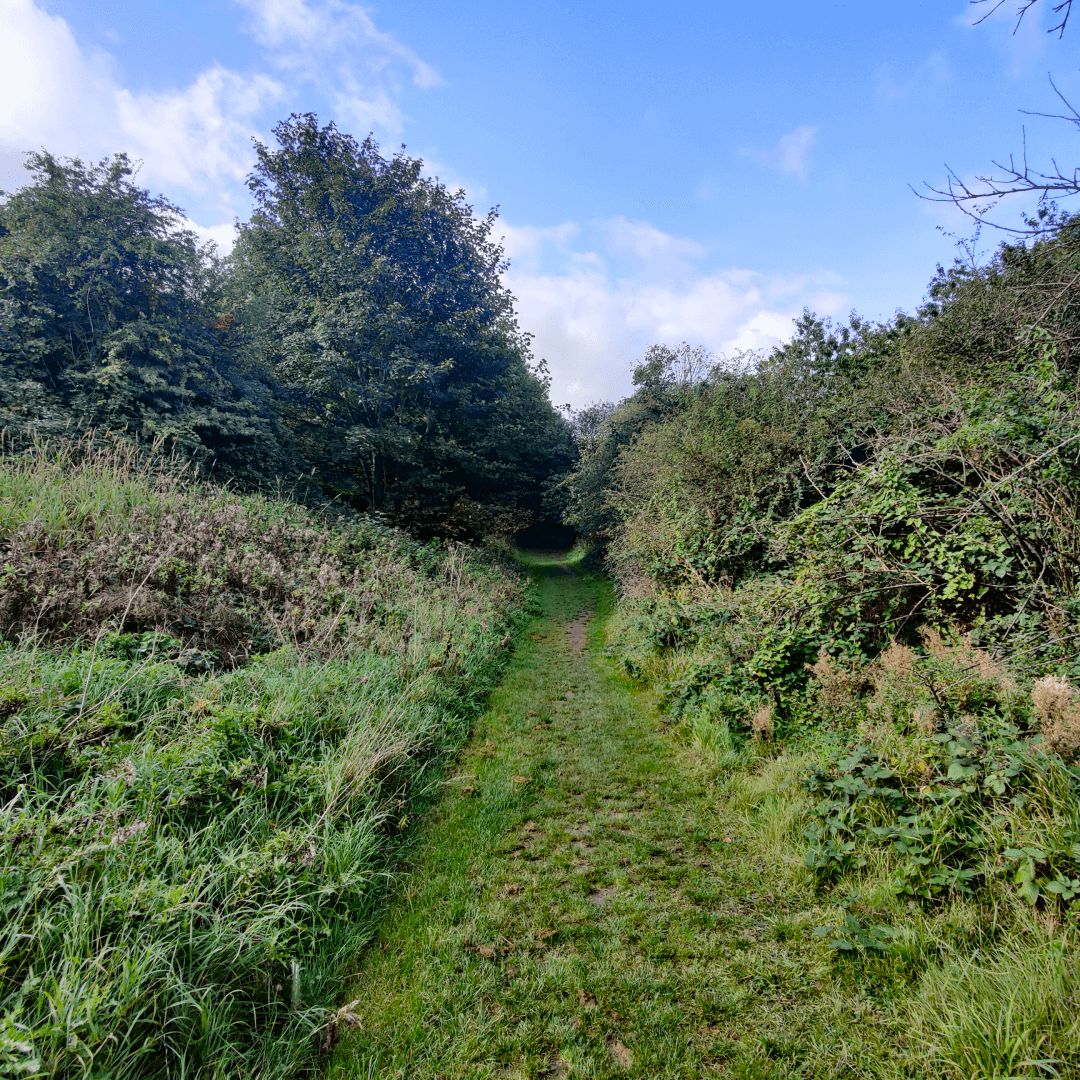 Primrose Valley Park