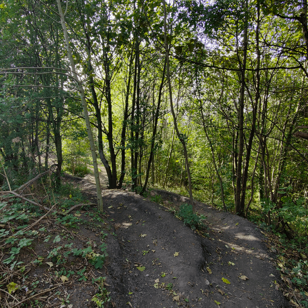 Primrose Valley Park