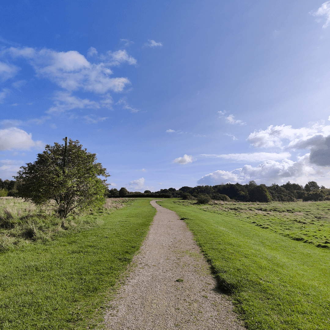 Primrose Valley Park