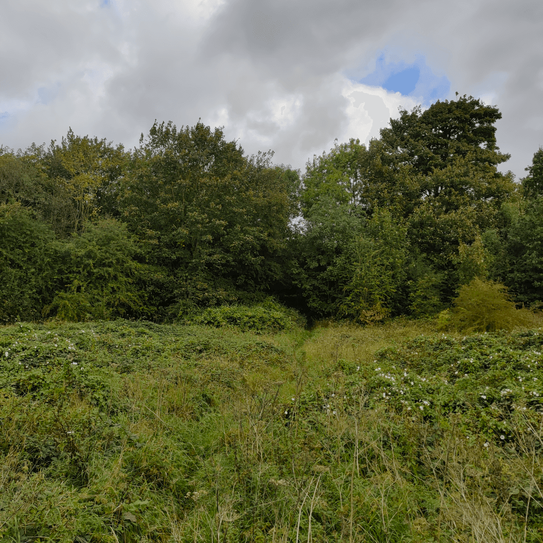 Primrose Valley Park