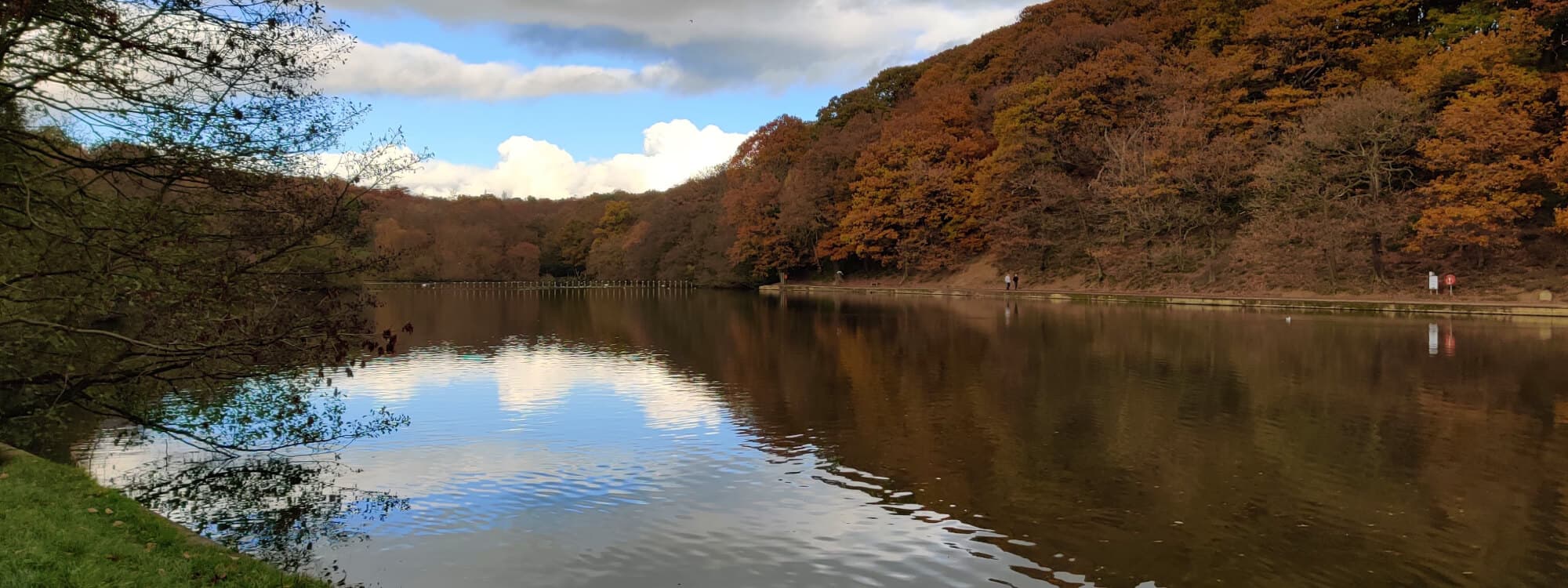 Roundhay Park lake in Autumn with blue sky