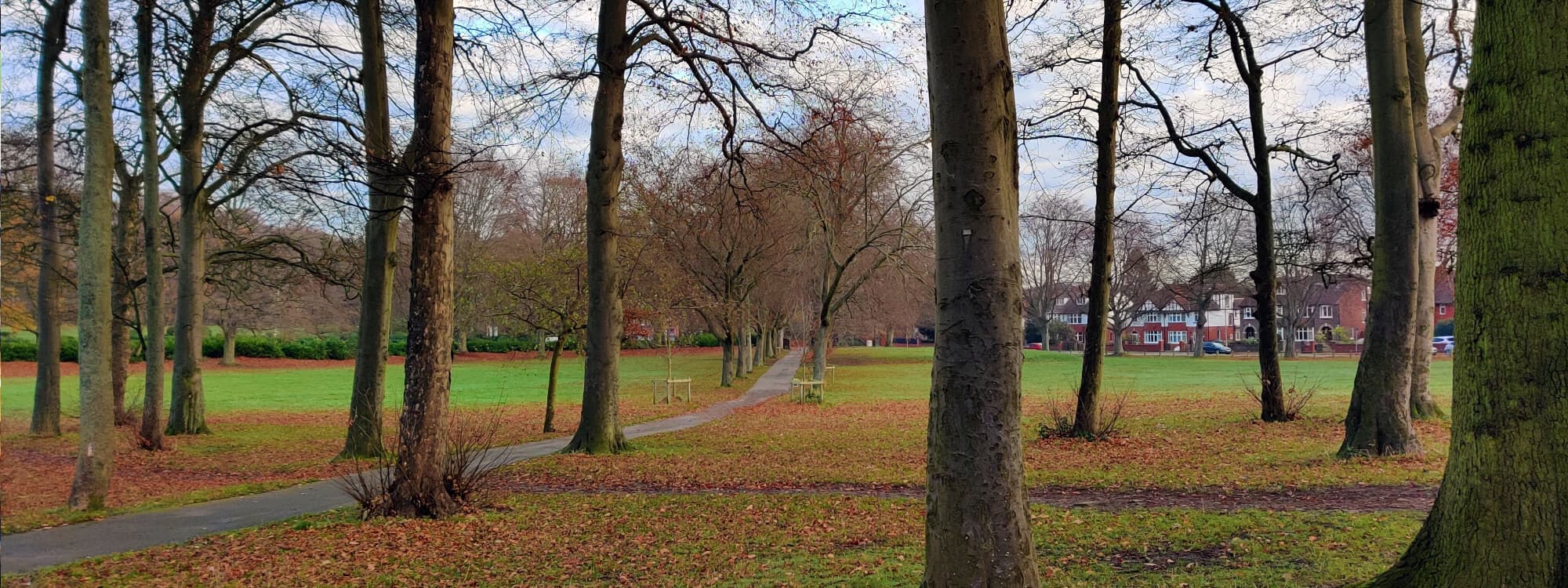 Beckett Park view from within the Woods across the park