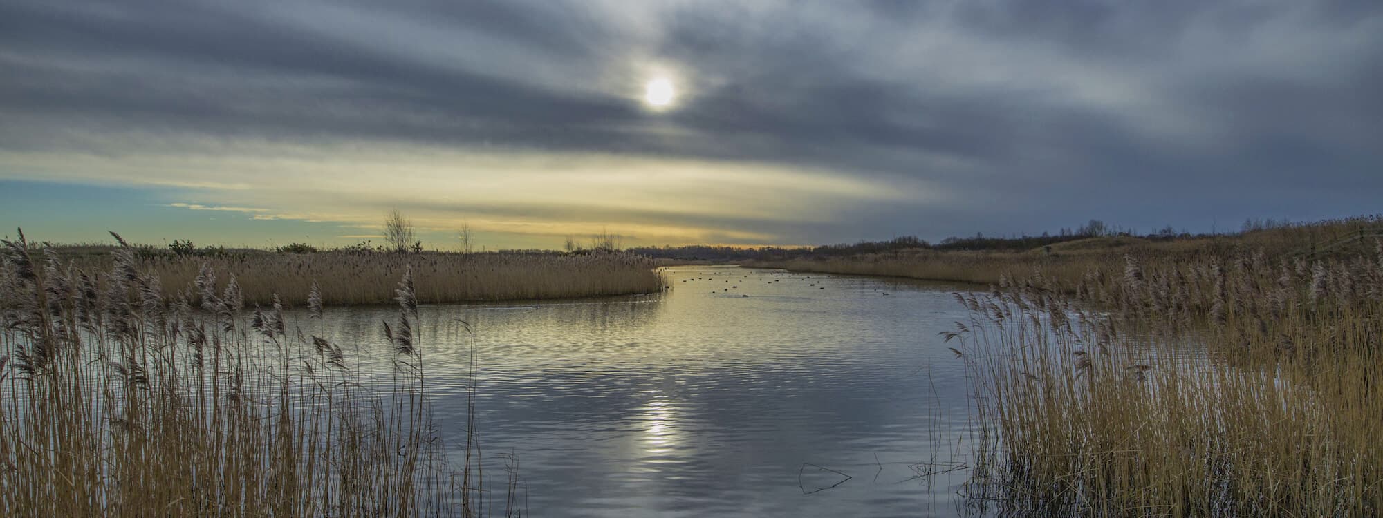 St Aidan’s Nature Reserve