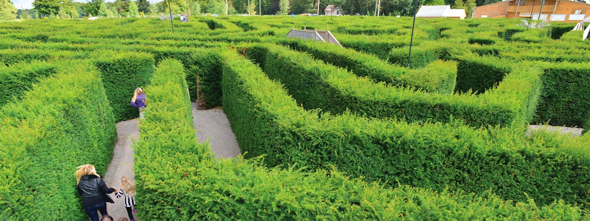Stockeld Park Maze