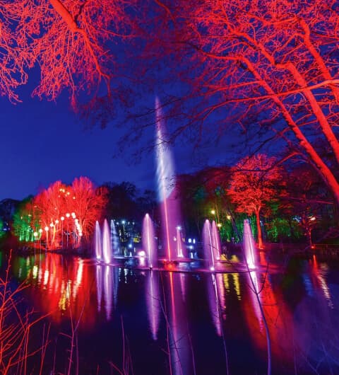 Winter Illuminations at Stockeld Park
