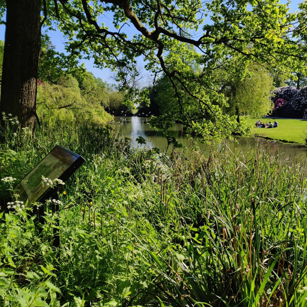 Temple Newsam pond