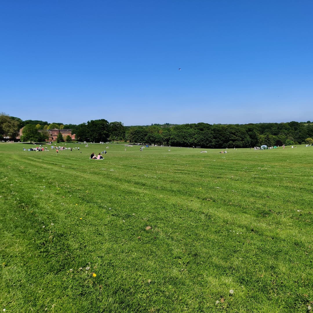 Temple Newsam fields and picnics