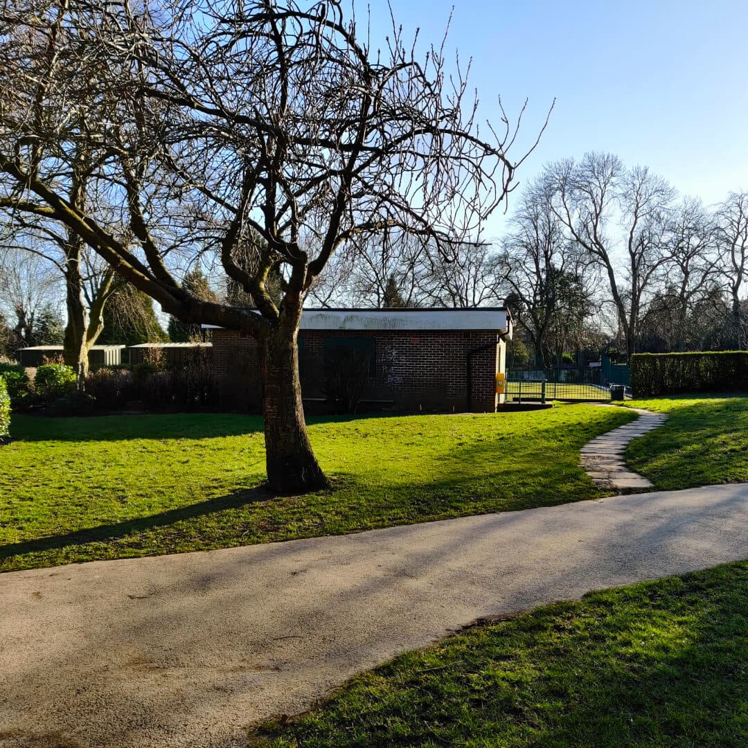 Pudsey Park tree