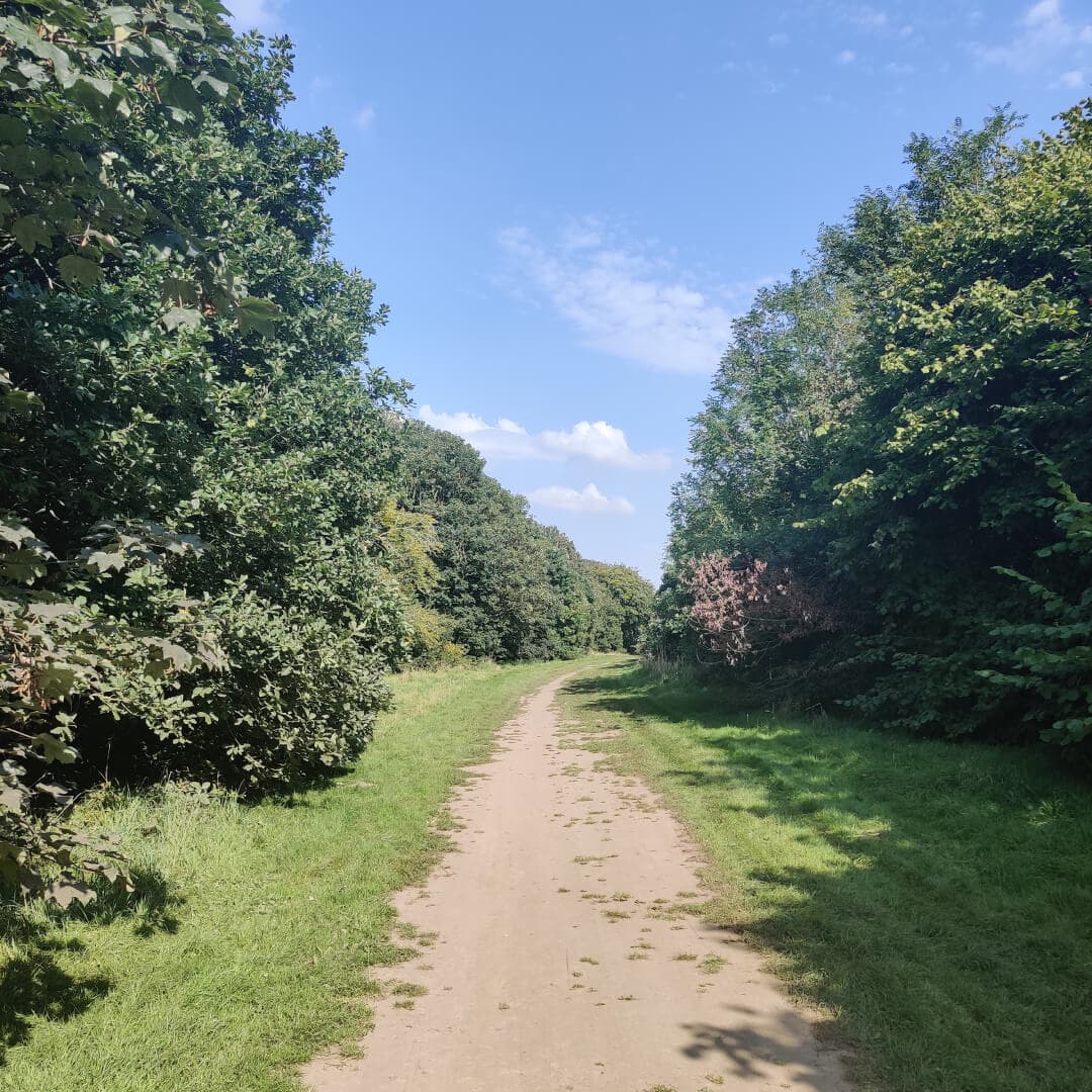 Middleton Woods