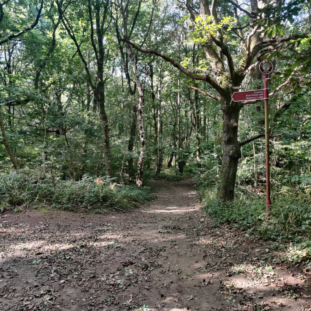 Middleton Woods