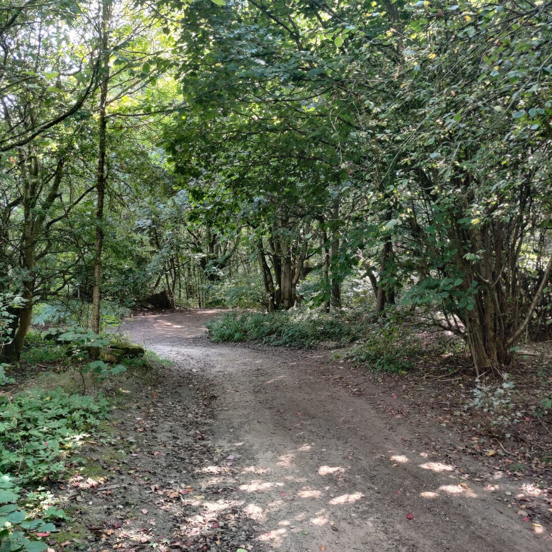 Middleton Woods