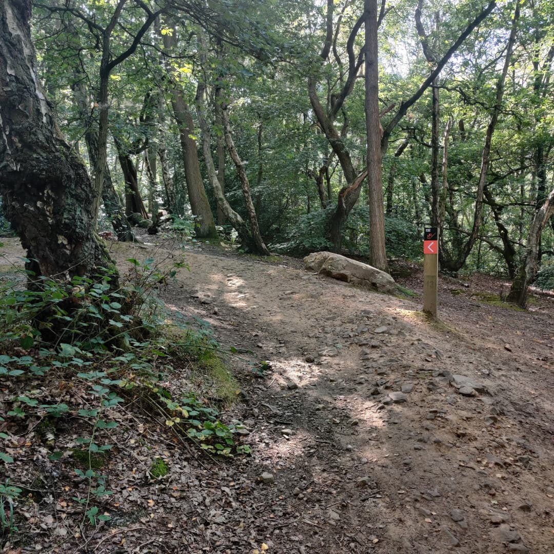 Middleton Woods