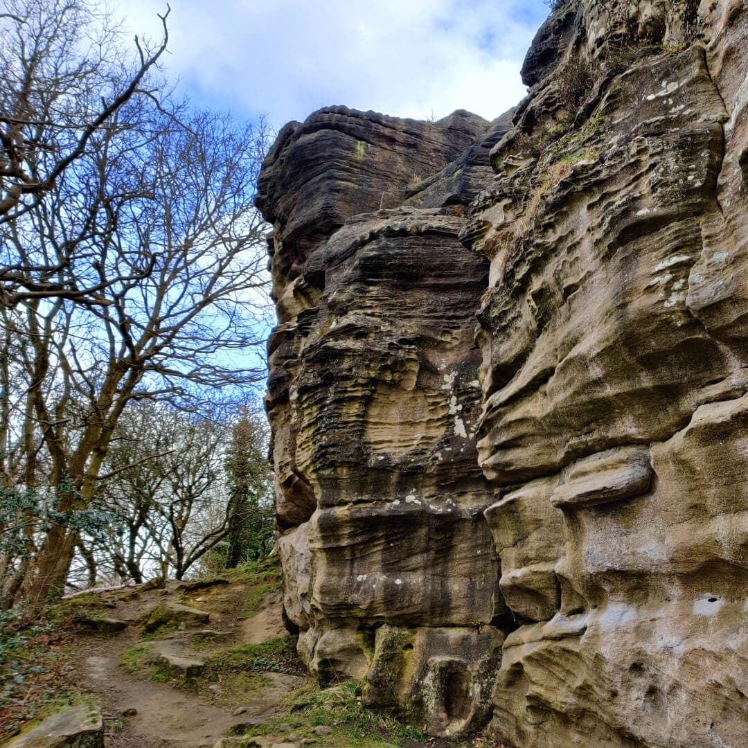Cliff at Hetchell Wood Leeds