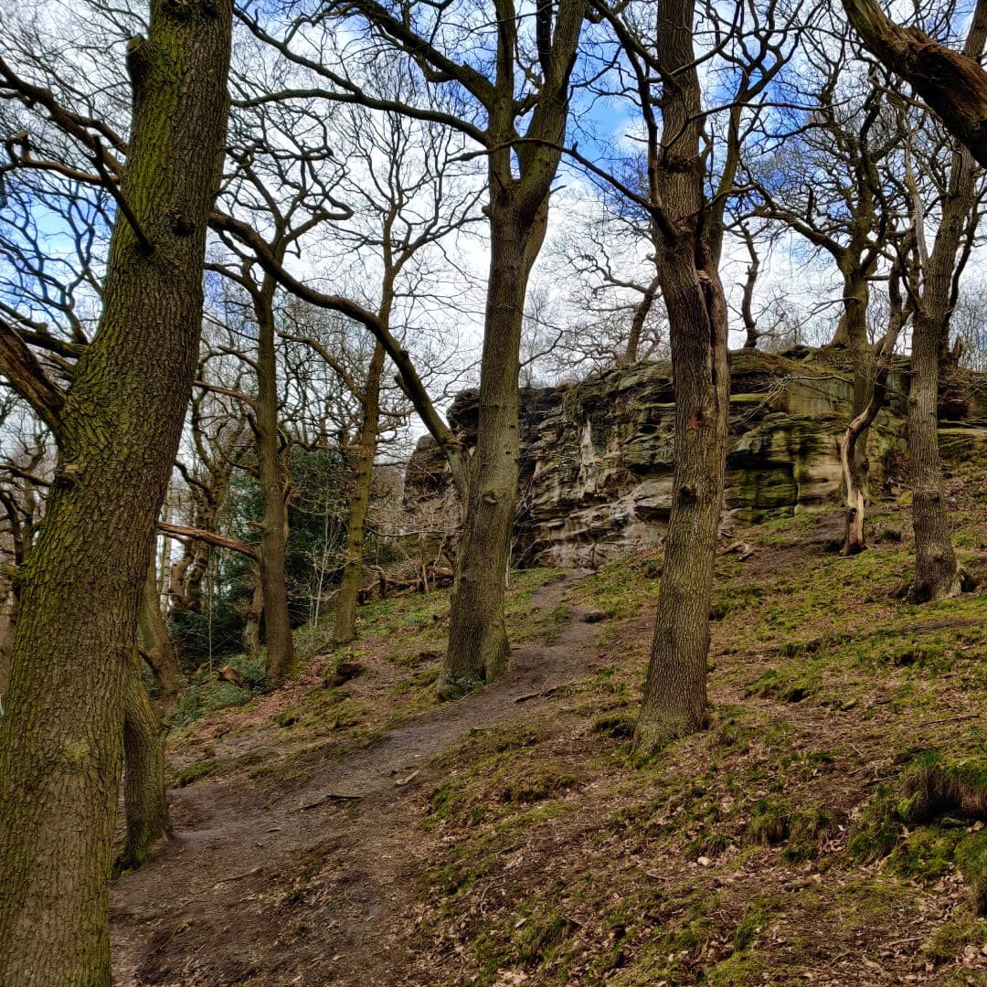 Cliff at Hetchell Wood Leeds