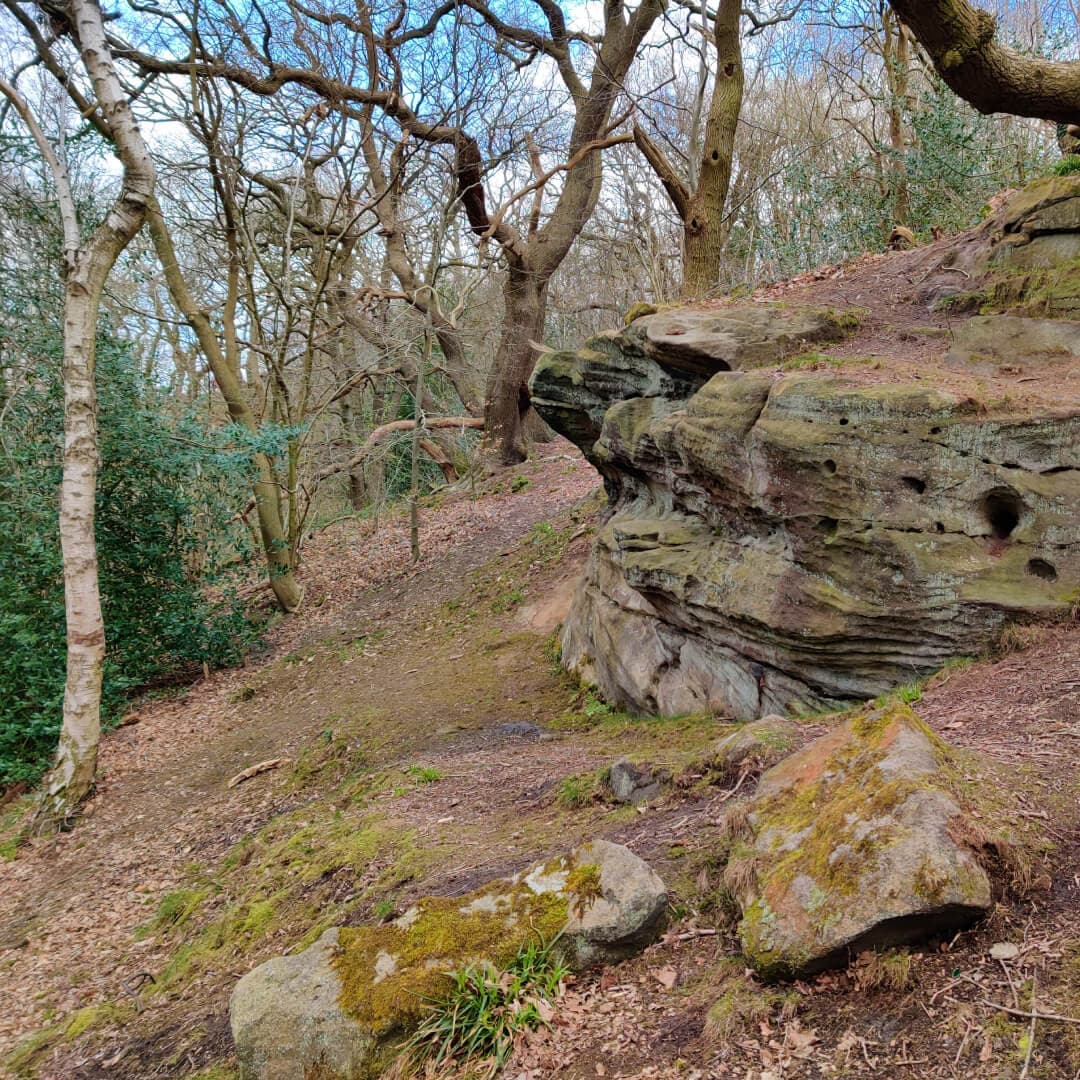 Rock overhang at Hetchell Wood Leeds