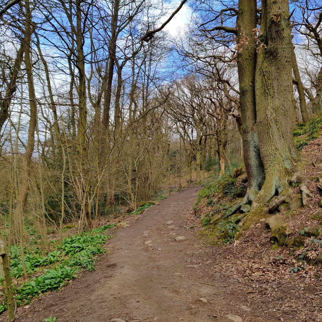 Path through Hetchell Woods Leeds