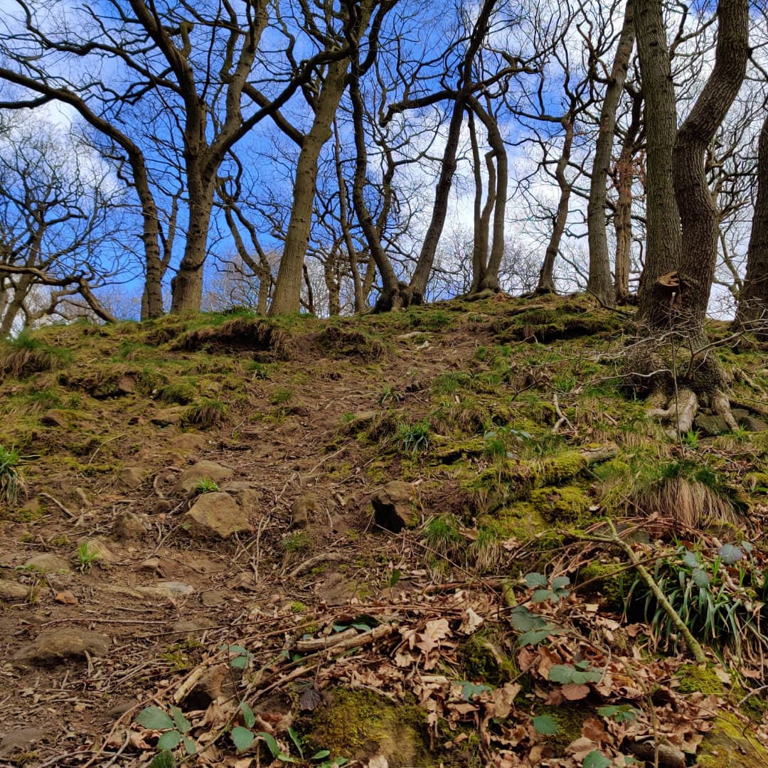 Path up hill at Hetchell Wood Leeds