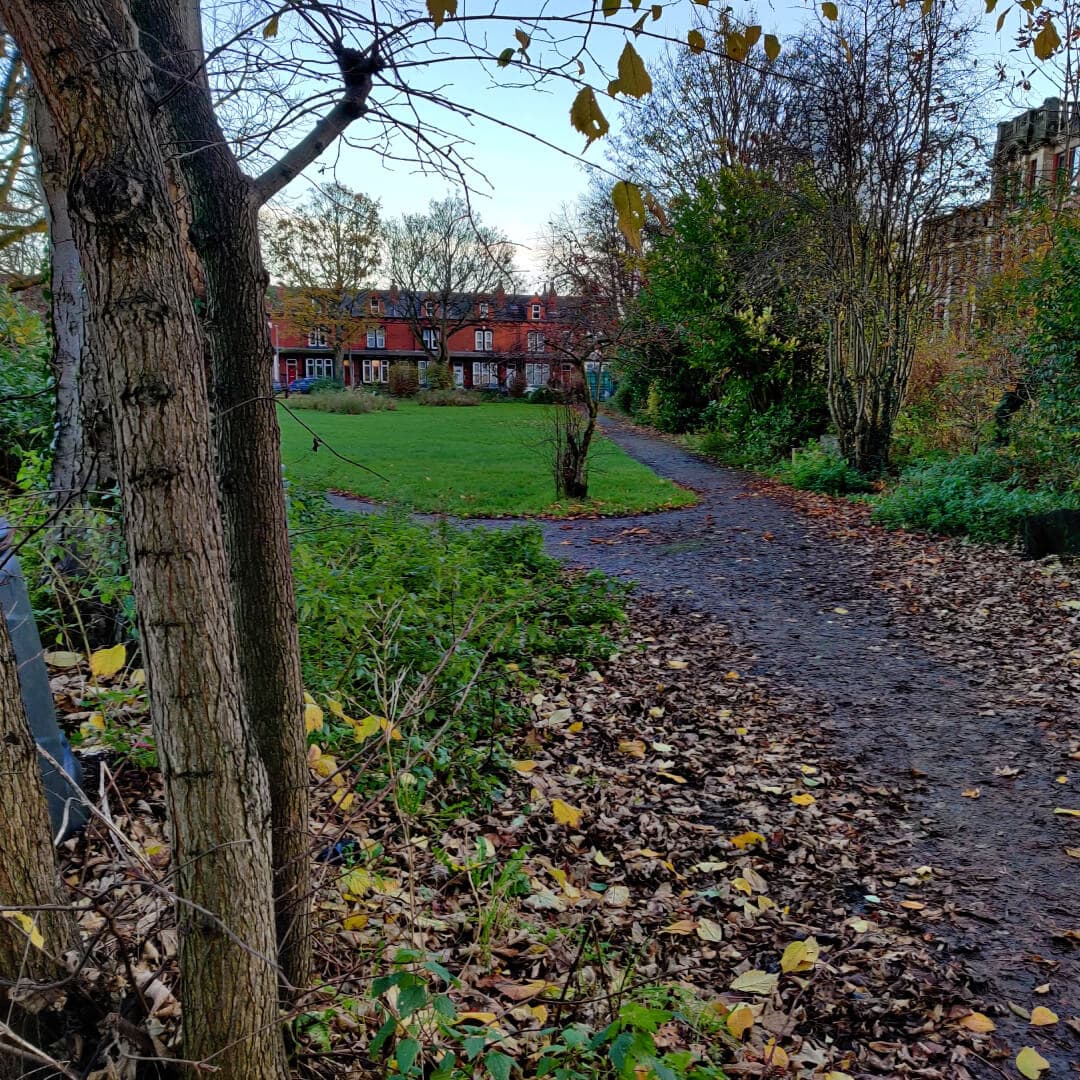 Charlie Cake Park
