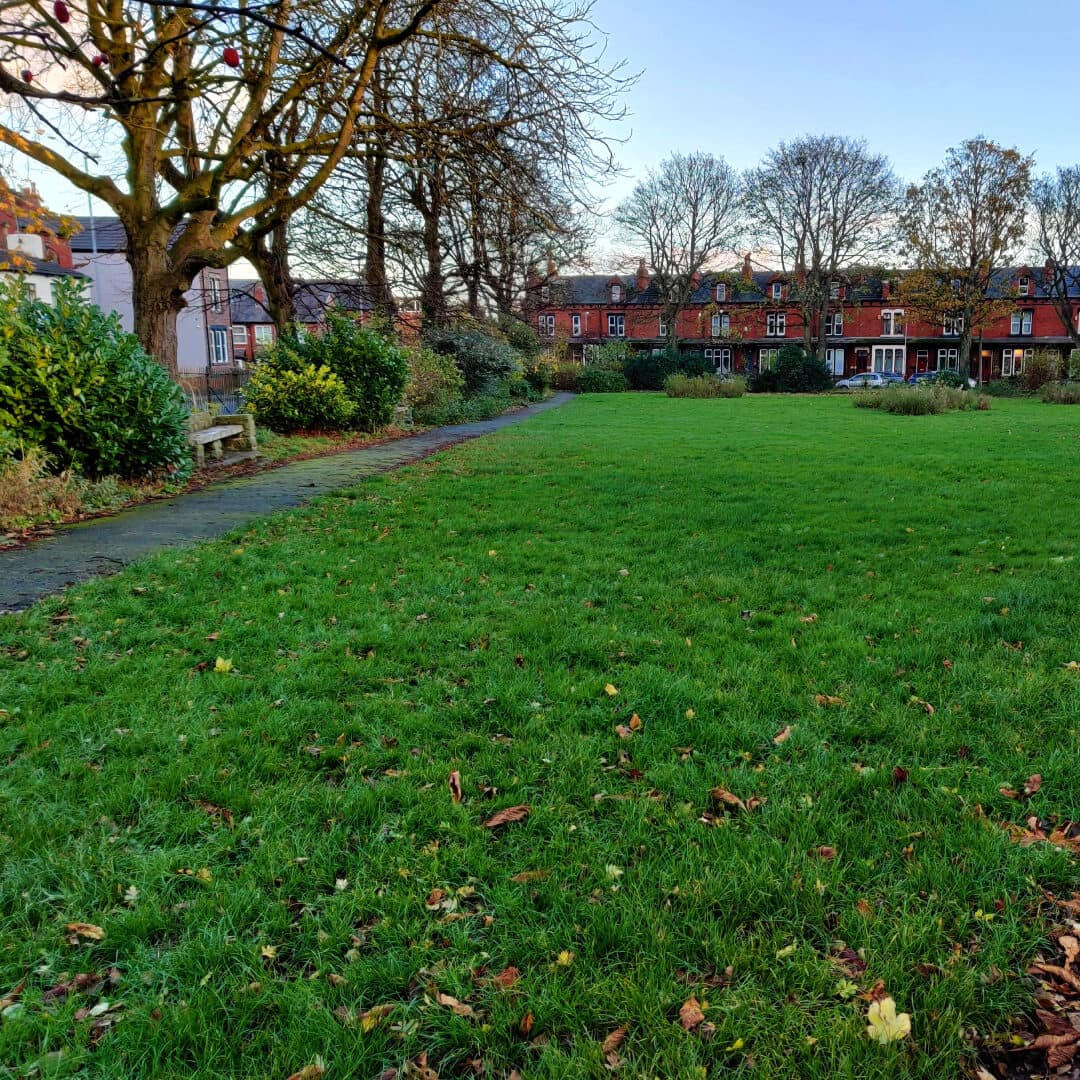 Charlie Cake Park