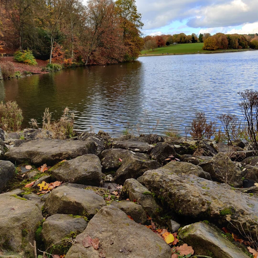 Stones at Roundhay Park