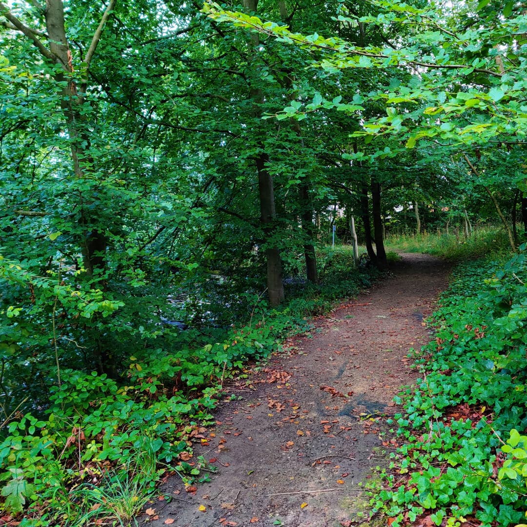 Farnley Hall Fish Pond muddy path