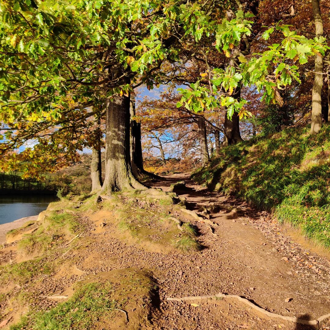 Path around Roundhay Park Lake