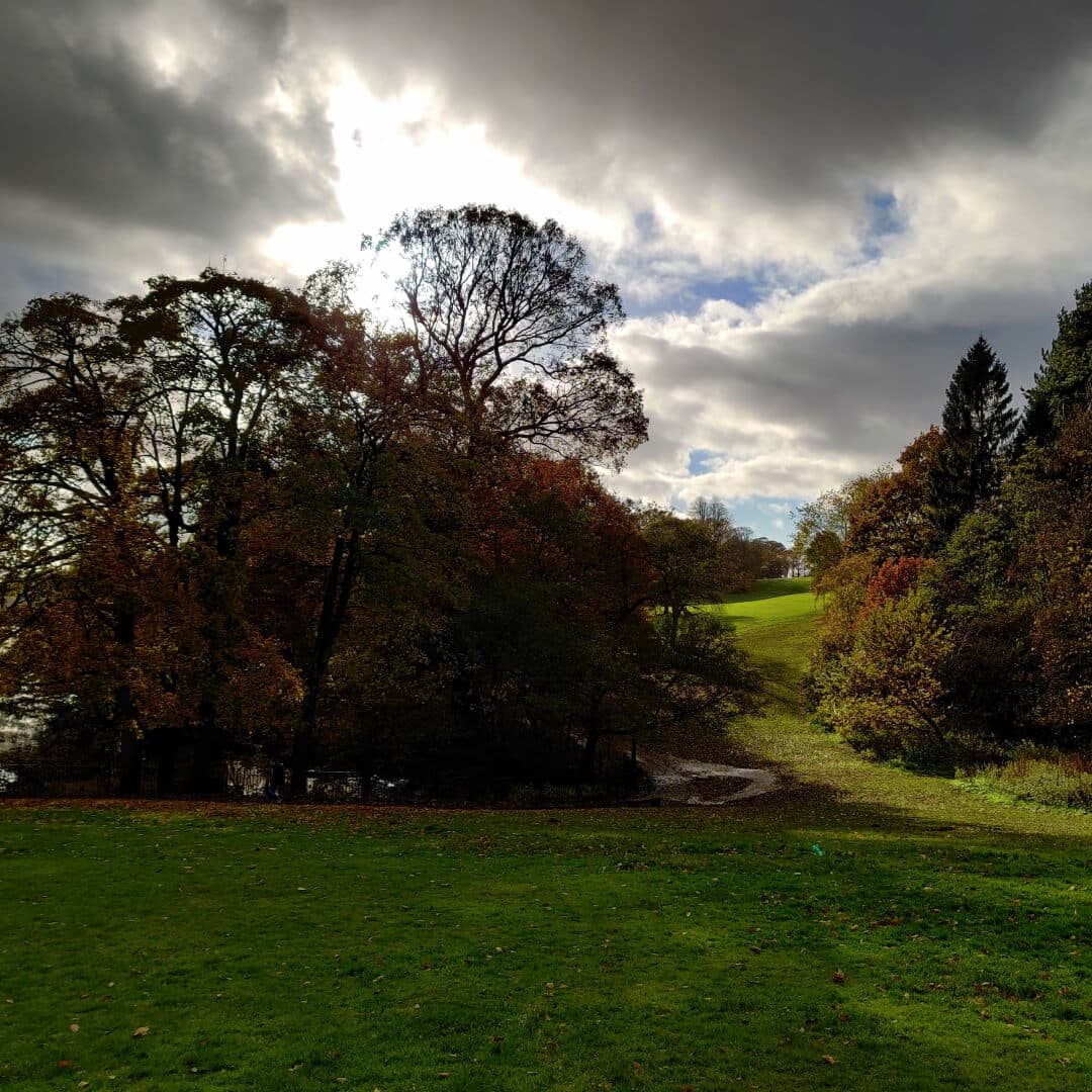 Roundhay Park