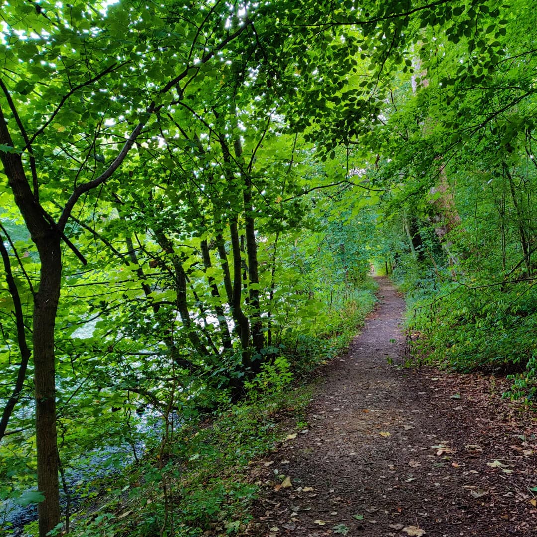 Farnley Hall Fish Pond muddy path