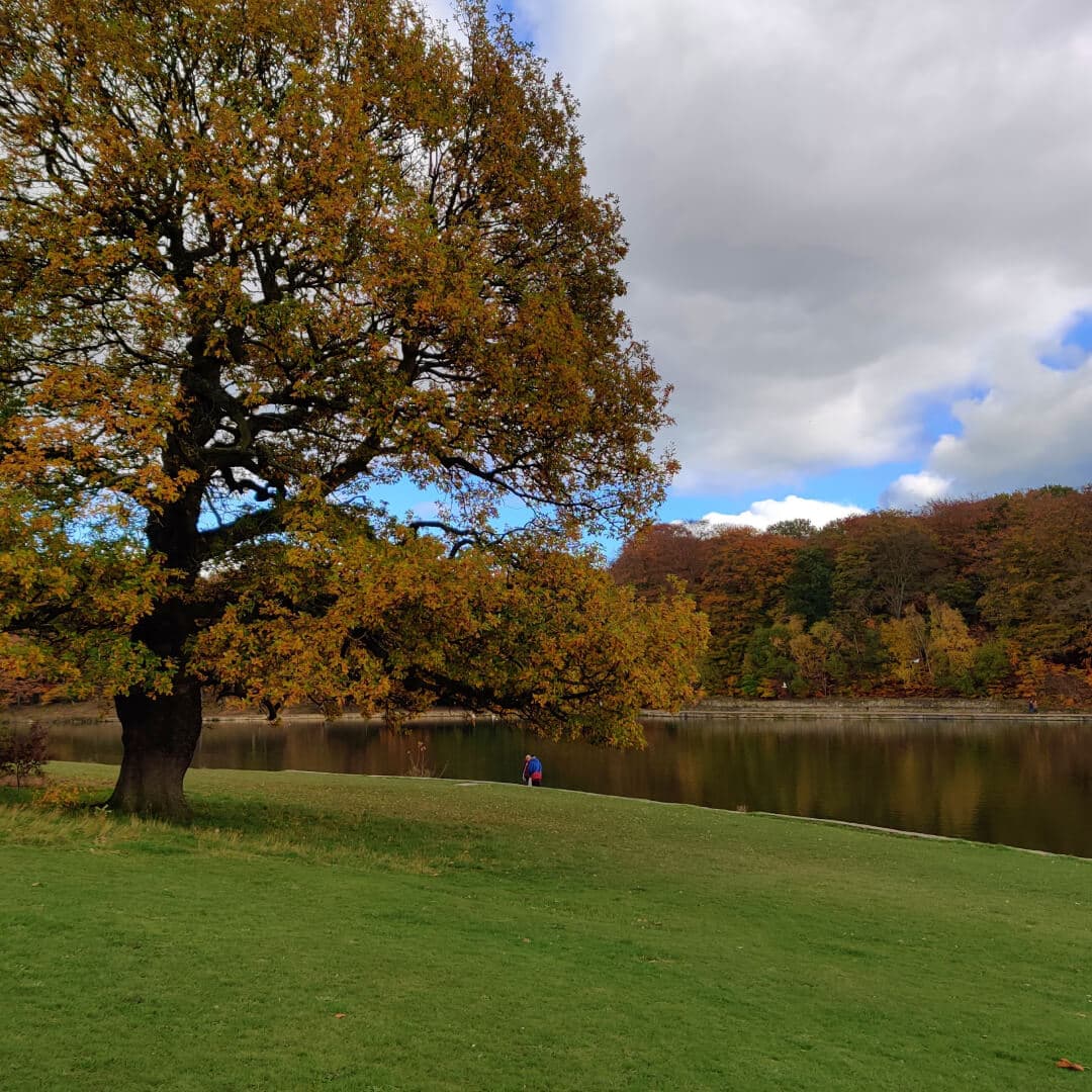 Roundhay Park Autumn day, with a slight view of the lake.