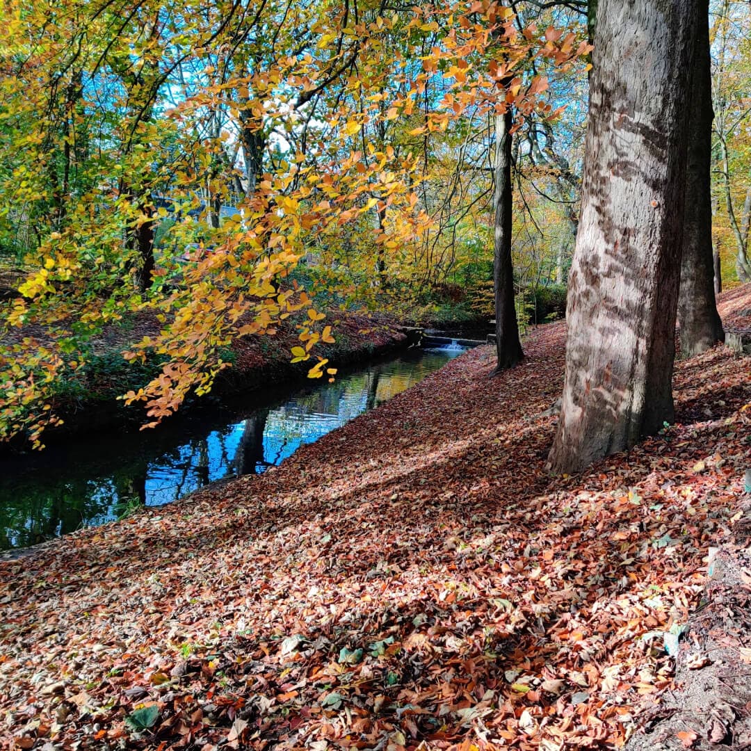 Gledhow Valley Woods in Autumn, small stream runs along the bottom
