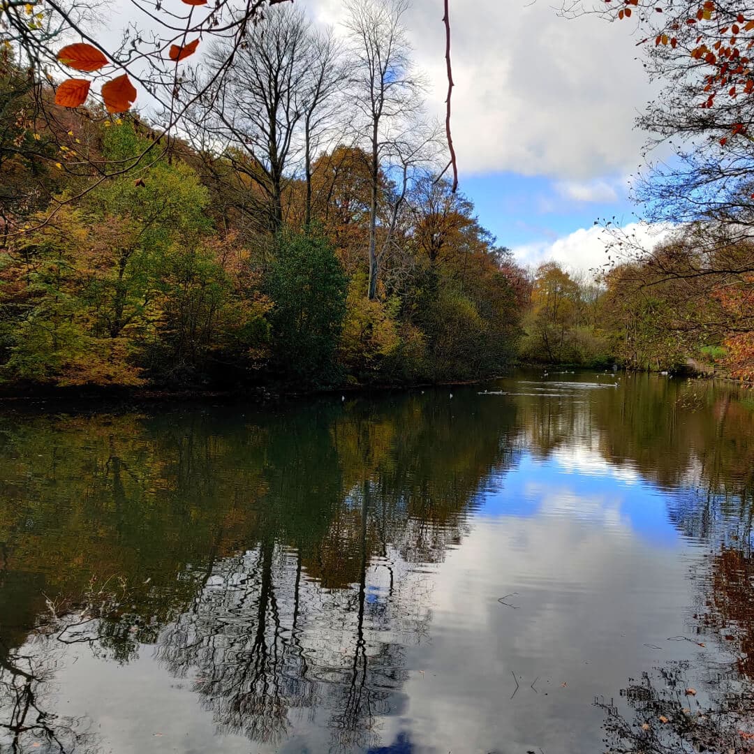 Gledhow Valley Woods lake