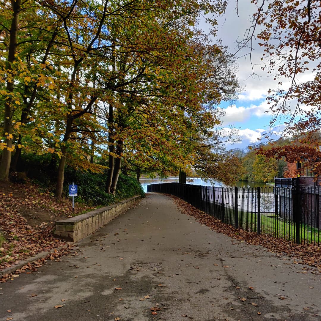 Cafe at Roundhay Park
