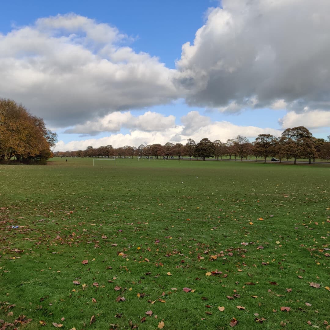 Far field at Roundhay Park