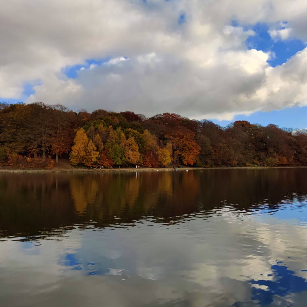 Roundhay Park lake