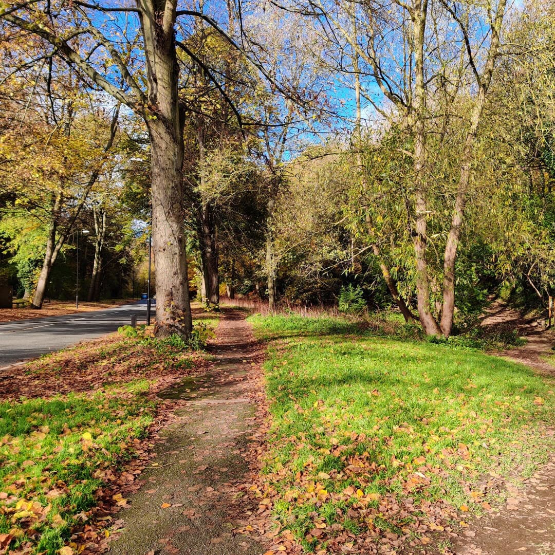 Gledhow Valley Woods path by road
