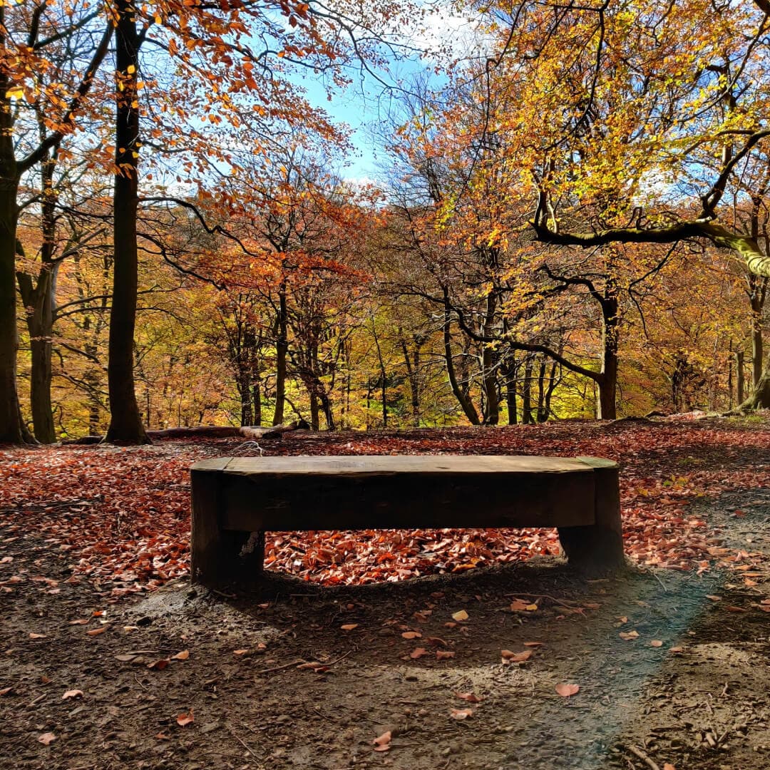 Gledhow Valley Woods bench at top of gill