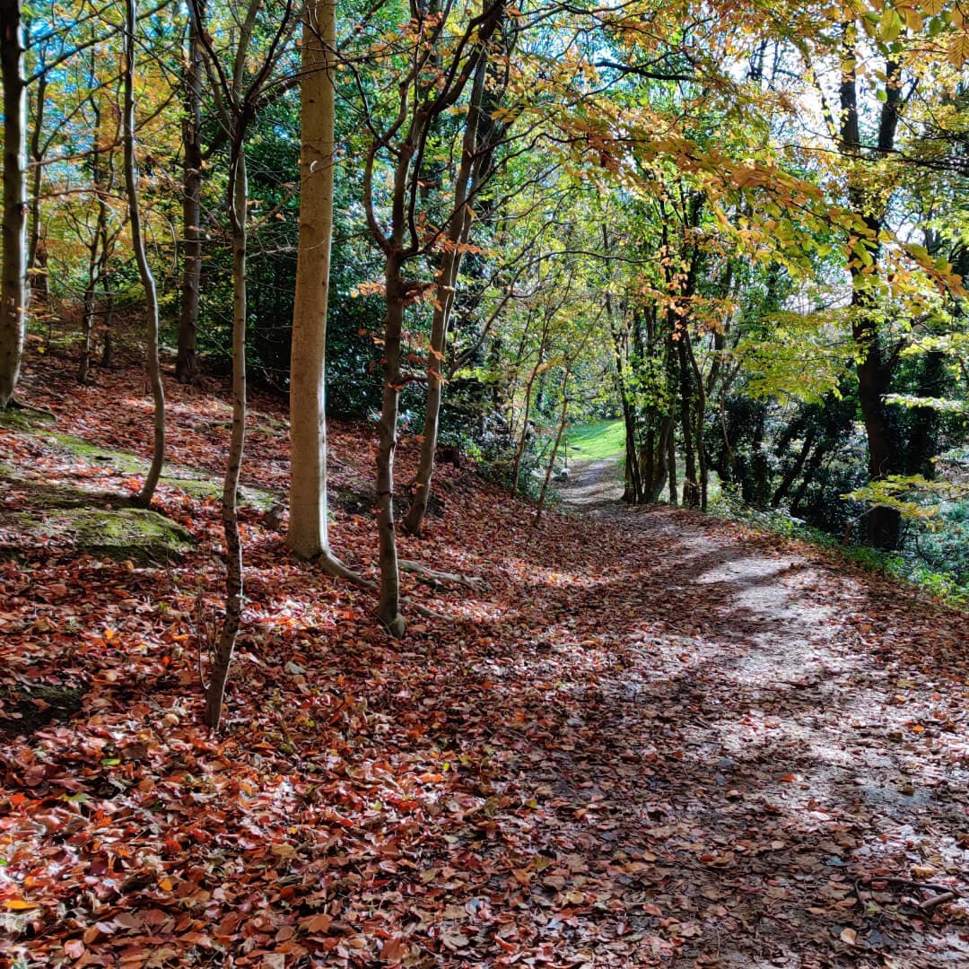 Gledhow Valley Woods path up the hill