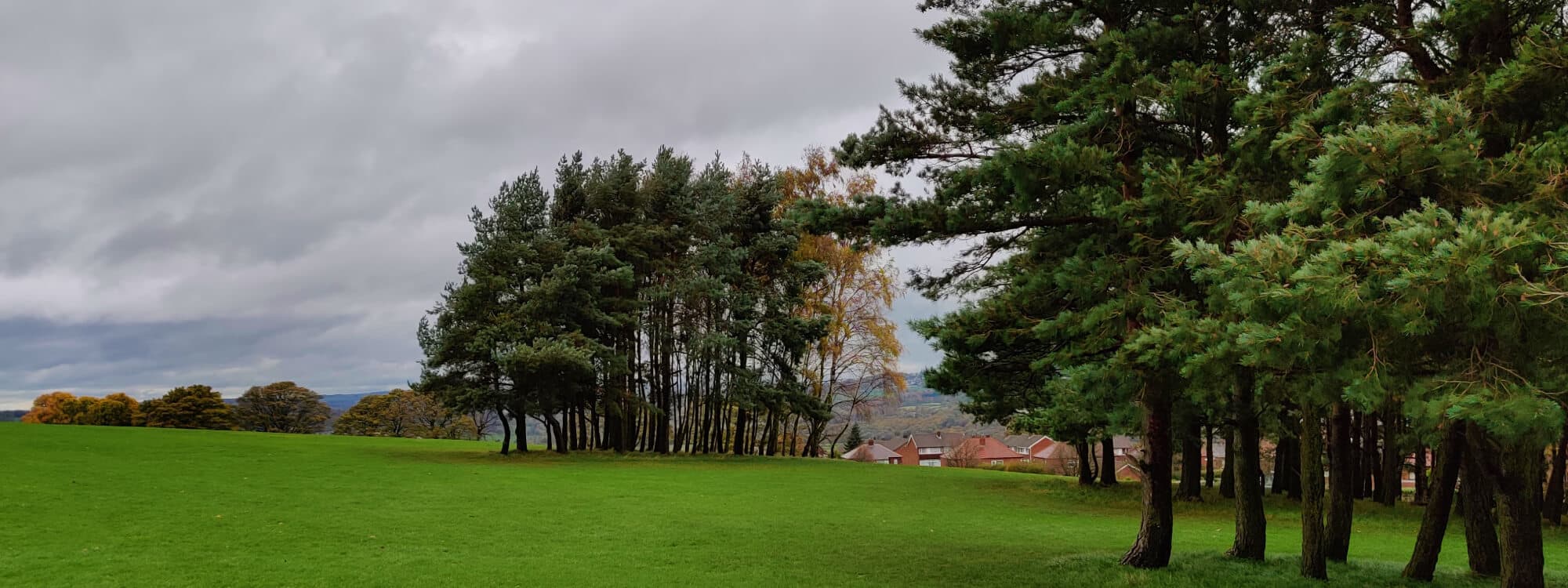 Bramley Park