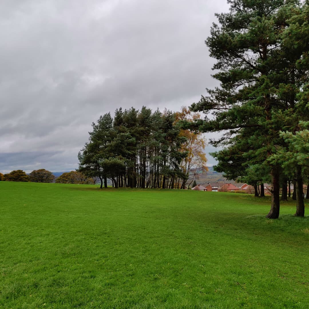 Bramley Park