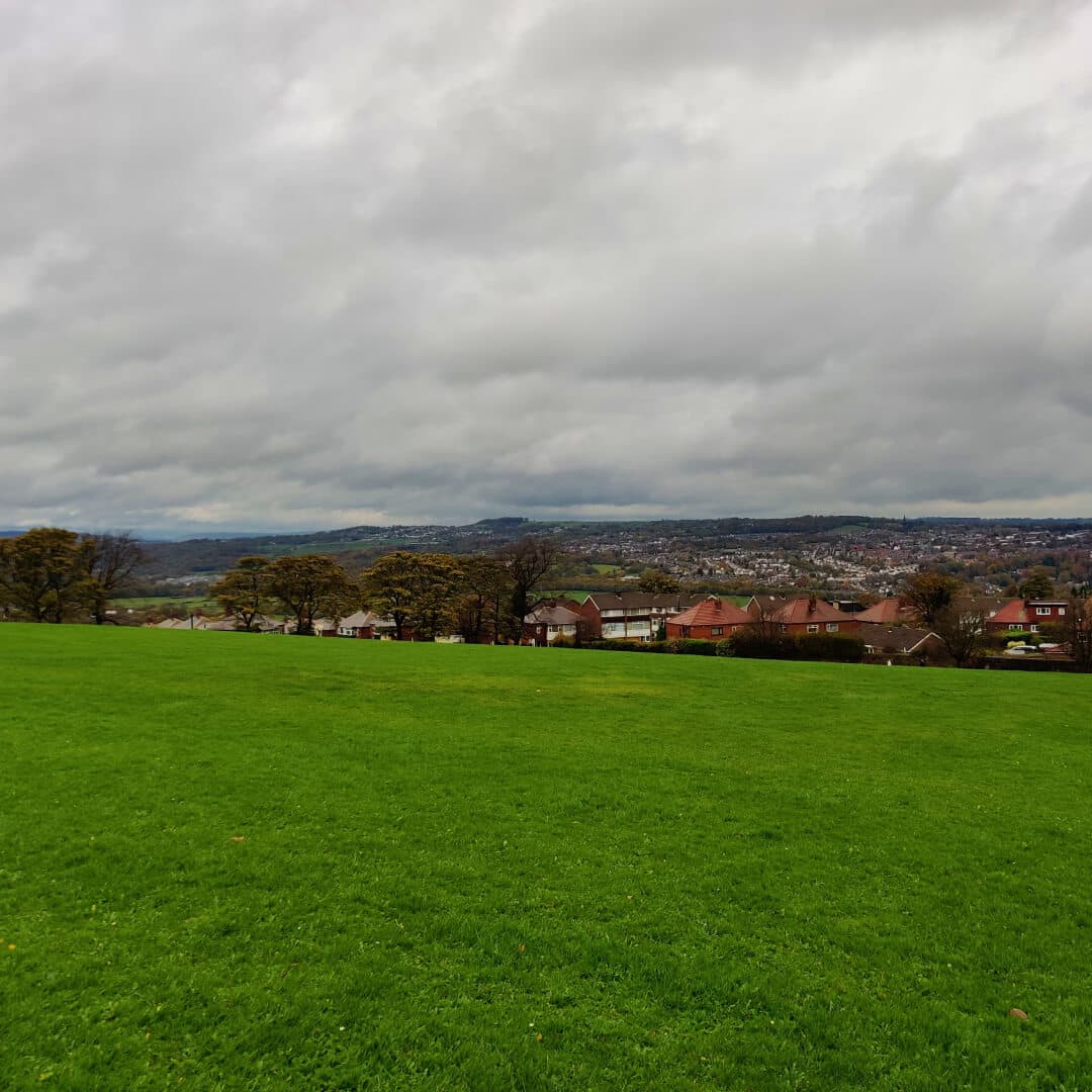 Bramley Park view over Bramley