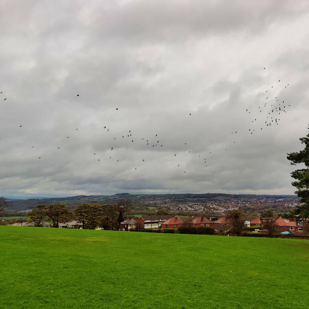 Bramley Park view over Bramley