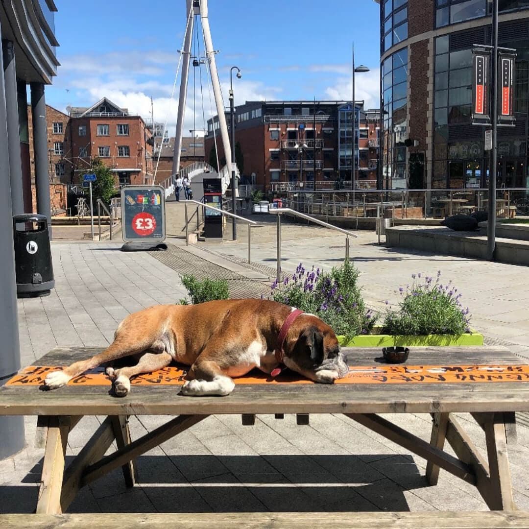 Outside tables at 212 Café & Bar Leeds