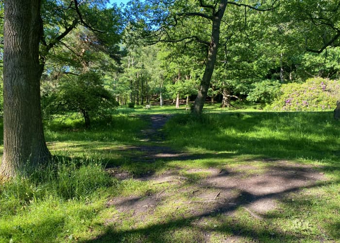 Golden Acre Park Path