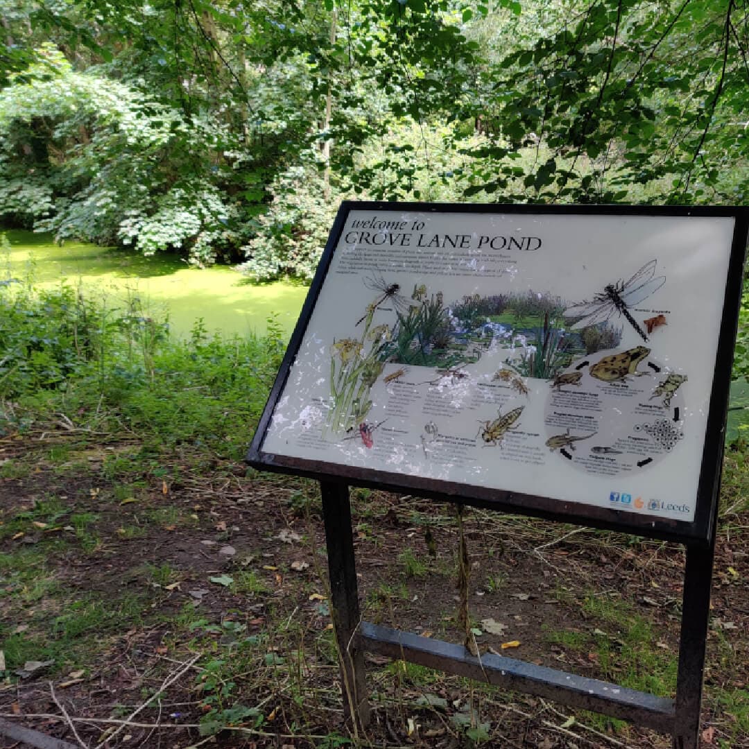 Grove Lane Pond with Sign